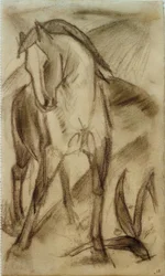 Jeune cheval dans un paysage de montagne